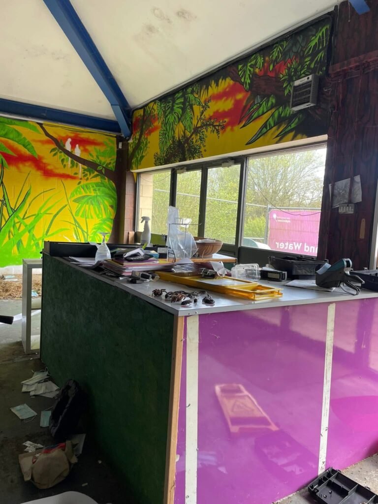 What is a Demolition Survey in London